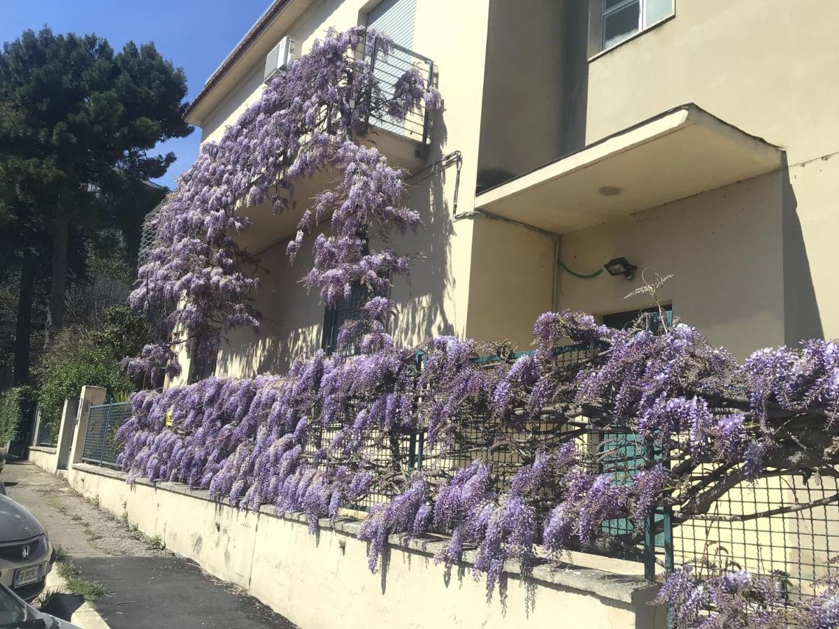 B&B Il Glicine Pescara Centro 외부 사진